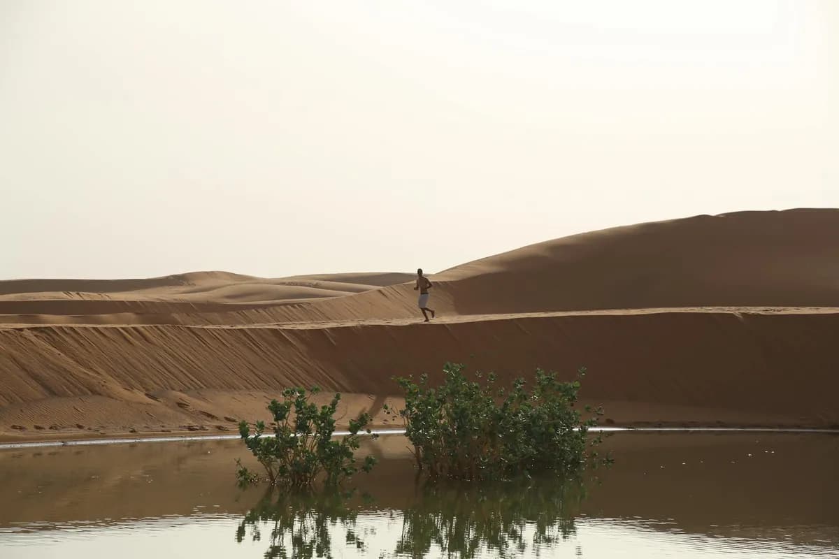 Dominique Aquilon : La passion de la santé mentale au service de l'immobilier